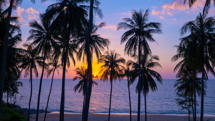 Fototapeta na wymiar Silhouette coconut palm trees at sunset or sunrise sky over sea Amazing light nature colorful landscape Beautiful light nature sky and clouds