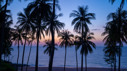 Fototapeta na wymiar Silhouette coconut palm trees at sunset or sunrise sky over sea Amazing light nature colorful landscape Beautiful light nature sky and clouds