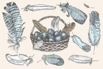 Set of Easter eggs and realistic bird feathers. Vintage engraving style. Engraved folk style. Greeting card. Line art ester decoration design. Happy holiday banner. Hippity Hoppity Hop Vector. - obrazy, fototapety, plakaty