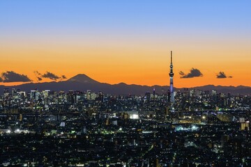 Fototapeta premium トワイライト東京