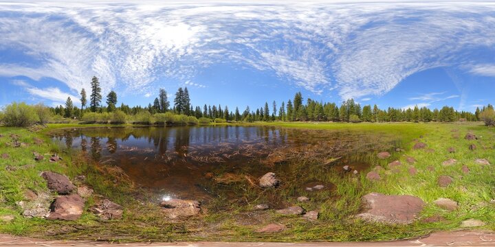 Petes Puddle