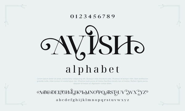 Luxury wedding alphabet letters and numbers. Ellegant typography classic serif font decorative vintage retro. Creative vector illustration