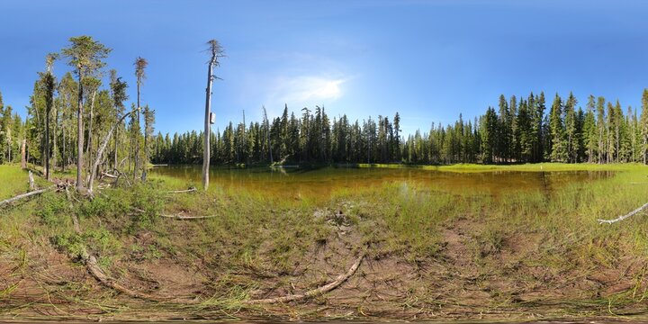 Fir Lake