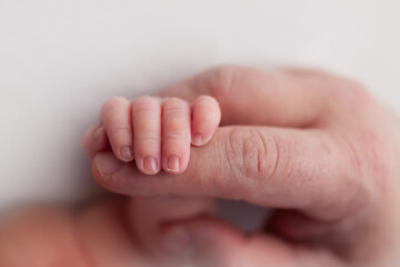 tiny baby newborn feet and fingers in mothers hands