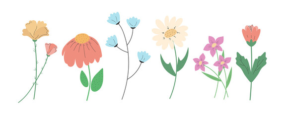 set of beautiful six spring flowers isolated on white background