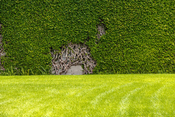 I giardini delle Ville Pontificie a Castel Gandolfo