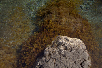 North of Gran Canaria, rockpools and natural swimming pools around Barranquillo El Vino hamlet
