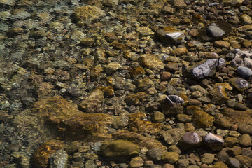 Ripples and sunlight reflexes in a large rock pool filled with pebbles
