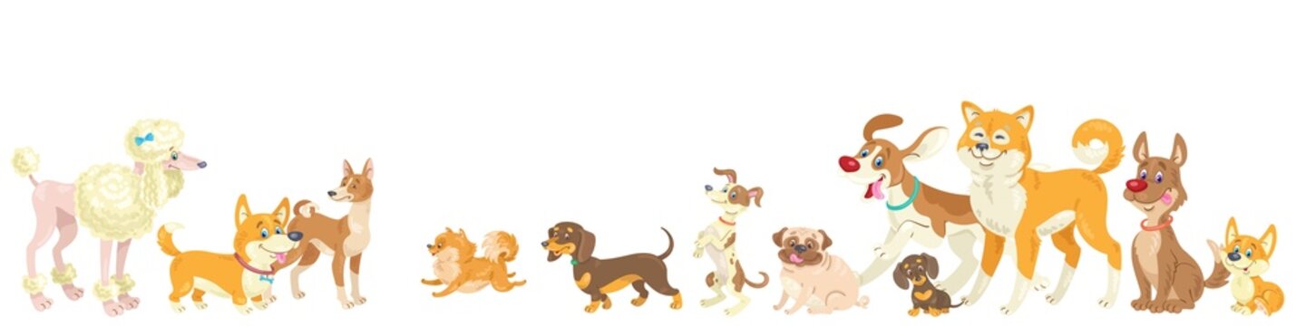 Group of funny dogs. Banner in cartoon style. Isolated on white background. Vector flat illustration.