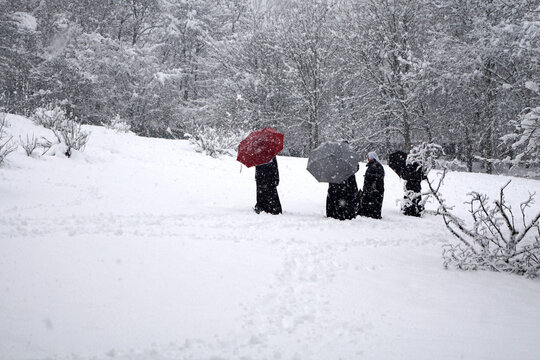 Gruppo di suore cammina in mezzo alla neve del bosco durante una nevicata