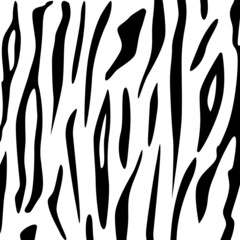 Animal skin texture tiger. Chaotic spots tiger skin. Black and white tiger texture