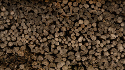 Forestry background - Forest pine and spruce trees. Log trunks pile, the logging timber wood industry.