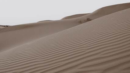 Desert Dunes sand