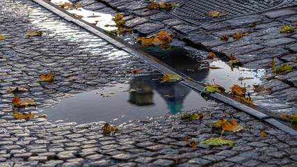 Puddle of water with a wet cobblestone floor, with the reflection of a building and full of autumn leaves.