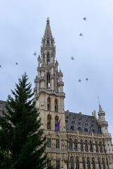 Fototapeta na wymiar Tower of the town hall on the Grand Place in Brussels, with a flock of birds out of focus
