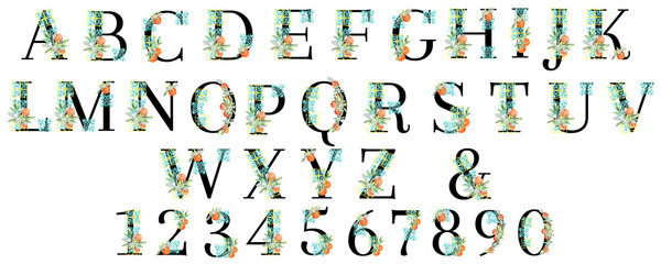 Oranges alphabet, letters, number. Citrus , tangerines, sweet clementines. Vegetarian tropical fruit. Isolated elements. Stock illustration. Hand painted in watercolor.