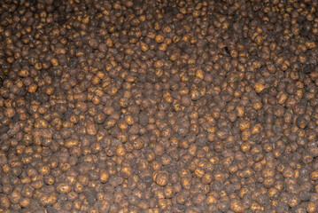 potatoes in storage