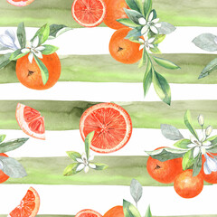 Oranges seamless pattern. Citrus , tangerines, sweet clementines. Vegetarian tropical fruit. Isolated elements. Stock illustration. Hand painted in watercolor.
