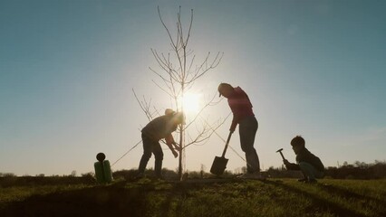 Silhouettes of teamwork of a young woman with her children caring for a planted tree in nature at sunny day
