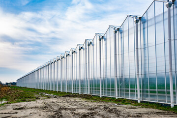 Obraz premium Row of greenhouses for growing vegetables. Perspective effect.