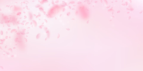 Sakura petals falling down. Romantic pink flowers falling rain. Flying petals on pink wide background. Love, romance concept. Optimal wedding invitation.