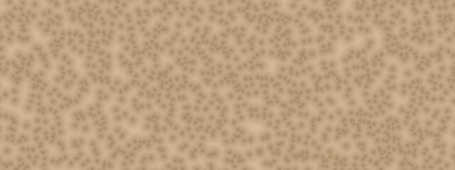 Banner cell pattern of Desert Mist color. Random pattern background. Texture Desert Mist color pattern background.