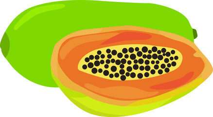Fresh Papaya fruit vector flat illustration in cartoon style. Healthy pawpaw vitamin nutrition, juicy tropical organic food, sweet summer vegetarian product.