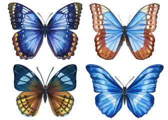 Watercolor set with butterflies. illustrations