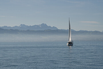 Segelboot auf dem Bodensee vor dem Säntis