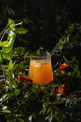 Fresh orange juice in a glass decanter and red orange fruit slices on green moss. Orange juice splash