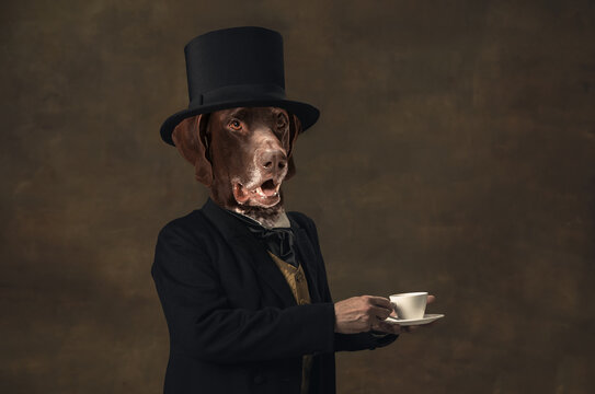 Gentleman. 5 o'clock. Contemporary art collage. Idea, aspiration, imagination. Male model headed by dog head isolated on vintage background. Surrealism, fashion, style