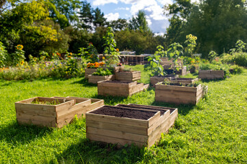 gardening, farming and planting concept - raised garden beds made in wooden boxes on summer farm