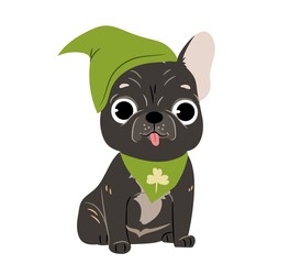 Funny dog in cute outfit. Pet in cute green clothes