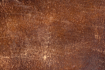 Old skin of cow outer side