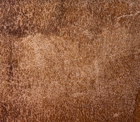 Old skin of cow outer side