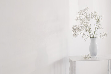 gypsophila in white vase on old wooden shelf on white background