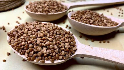 Buckwheat tea in a wooden spoon on a light wooden background. Buckwheat tea close-up macro photography. Scattered buckwheat tea pellets on wooden background