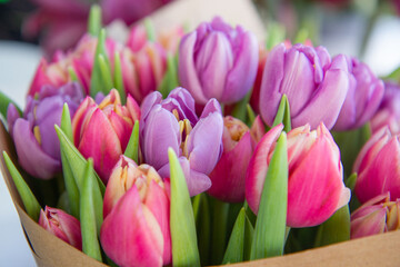 love, light, elegance, tulips bouquet, spring flowers, flora, holiday, vibrant, natural, gift, decoration, celebration, tulips, bright, day, sunny, easter, fresh, bunch, garden, purple, blooming, summ