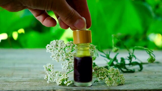 Yarrow extract in a small bottle. Selective focus.