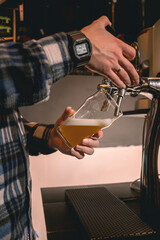 Bartender standing behind bar counter filling glass with white beer from tap