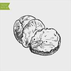 Black and white engraved Brussels sprout. Vector illustration