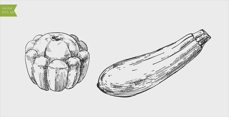 Fototapeta premium Black and white engraved zucchini and pattypan squash. Vector illustration