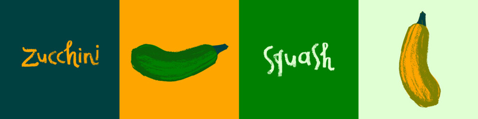 Vector zucchini icon isolated. Hand drawn vegetable squash drawing, cocozelle illustration. Vegetarian restaurant logo. Botanical sign. Vegetable insignia for organic food label. Home cooking courses.