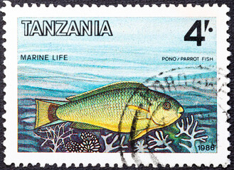 TANZANIA - CIRCA 1986: A Tanzania stamp shows Pono Parrot fish underwater. Circa 1986. Canceled by seal...