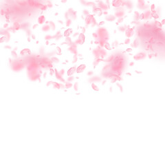 Sakura petals falling down. Romantic pink flowers semicircle. Flying petals on white square background. Love, romance concept. Eminent wedding invitation.