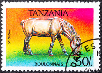 TANZANIA - DISTRICT 1993: A stamp printed in Tanzania shows Boulonnais Equus ferus caballus ,...