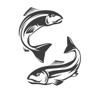 Salmon fish icon. Fishing sport, hobby equipment store or seafood products shop monochrome vector emblem, icon or yin and yang symbol with two swimming, jumping out of water sea or ocean salmon fishes