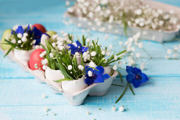 Easter. Painted eggs. Grass and flowers in a shell. Easter Still Life