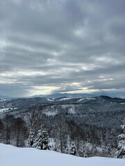 Winter mountain landscape. Carpathian Mountains, Ukraine