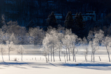 冬の白樺湖から朝日に光る霧氷の木々